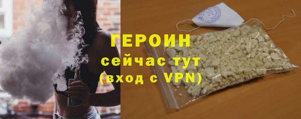 дживик Ельня