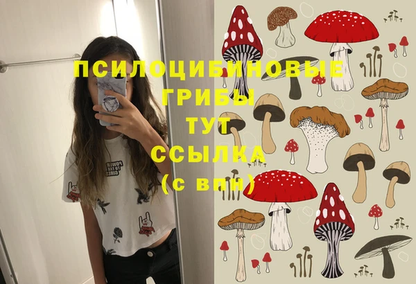 бошки Яровое