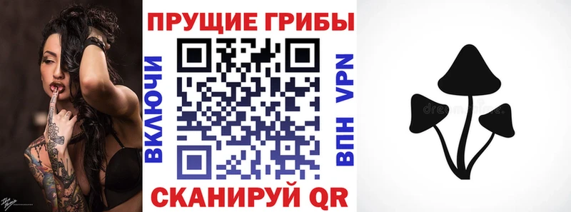 Галлюциногенные грибы мицелий  Агидель 